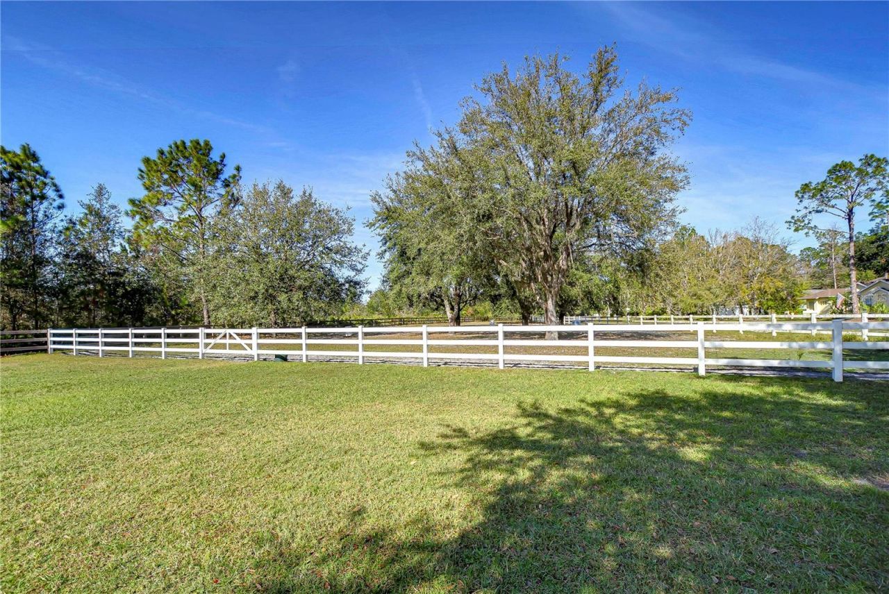 8345 Shenandoah Run, Wesley Chapel, FL 33544 Photo