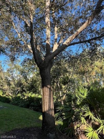 9603 Hemingway Ln, Unit 4001, Fort Myers, FL 33913 Photo