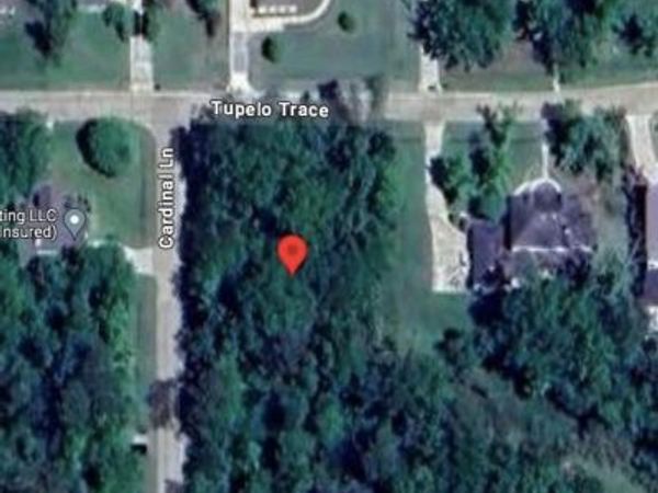 22 TUPELO Trace, Mandeville, LA 70471