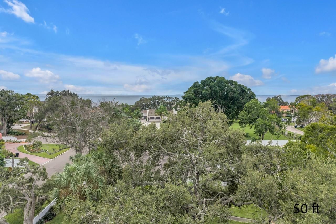 905 Serpentine Drive S, Saint Petersburg, FL 33705 Photo