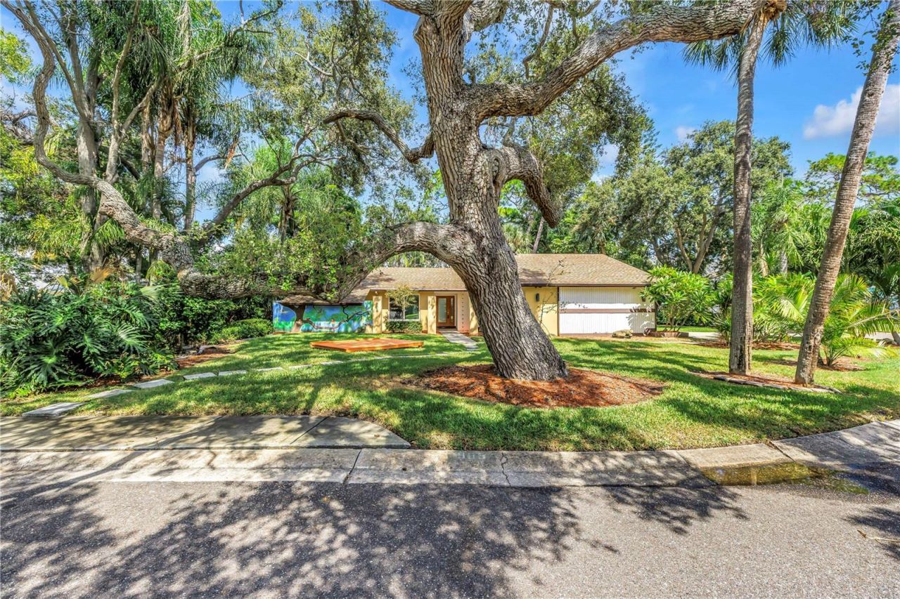 905 Serpentine Drive S, Saint Petersburg, FL 33705 Photo