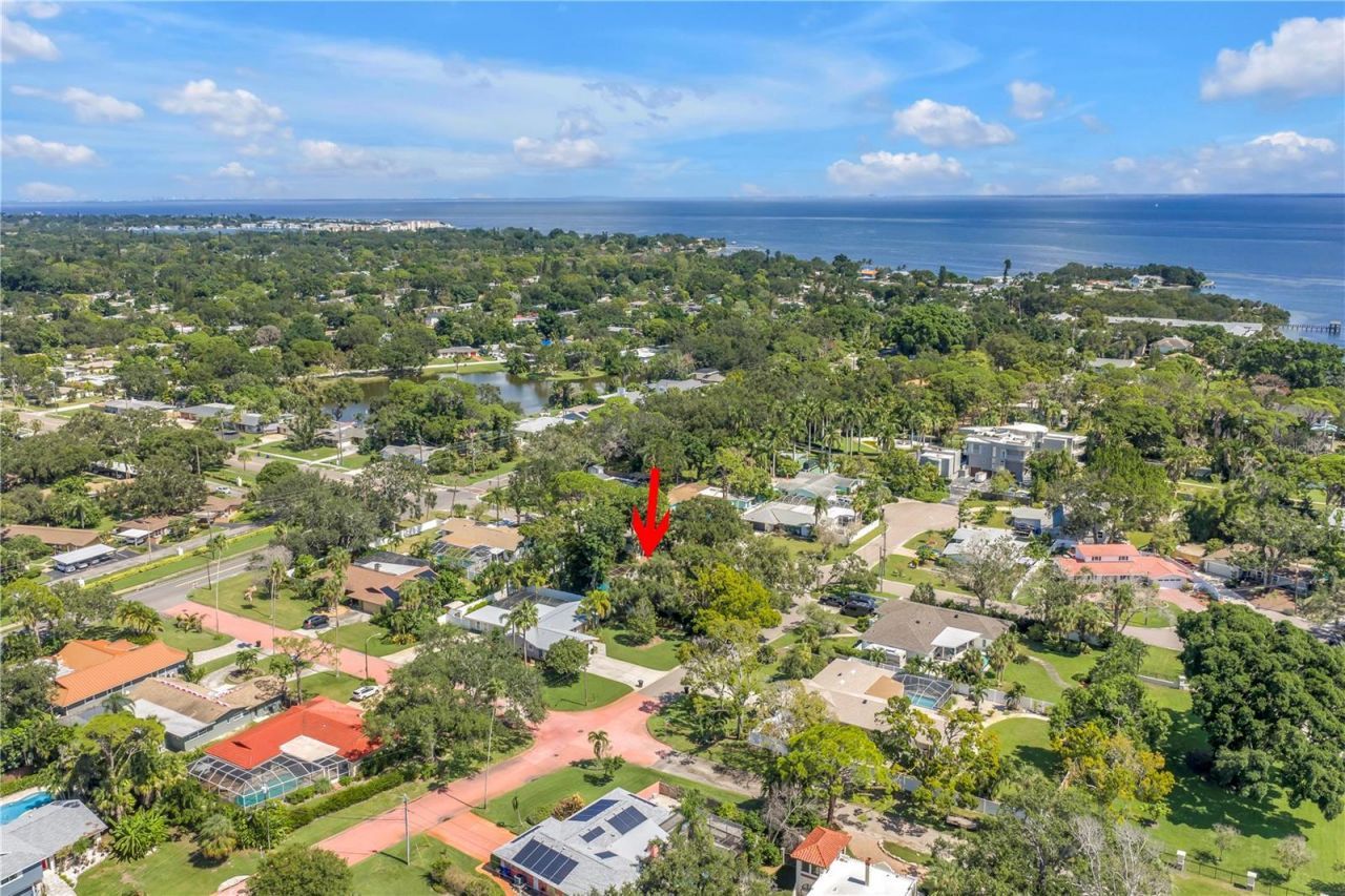 905 Serpentine Drive S, Saint Petersburg, FL 33705 Photo