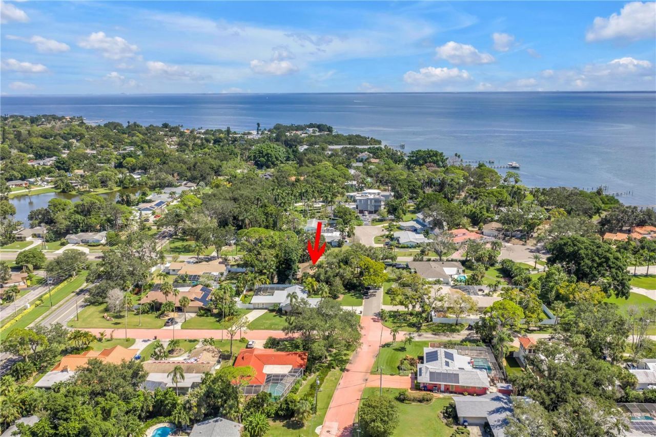 905 Serpentine Drive S, Saint Petersburg, FL 33705 Photo