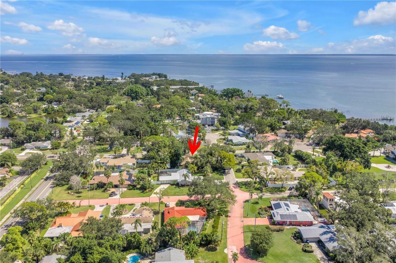 905 Serpentine Drive S, Saint Petersburg, FL 33705 Photo