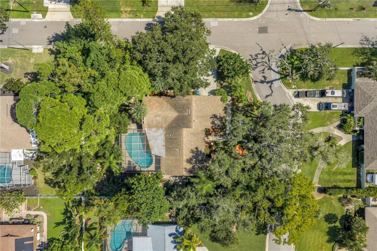 905 Serpentine Drive S, Saint Petersburg, FL 33705 Photo