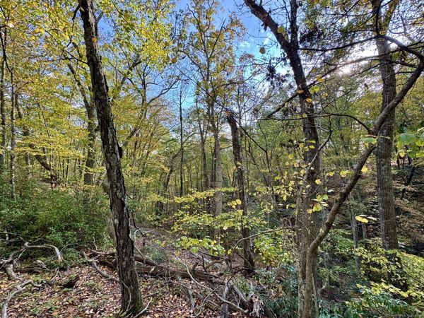 69 Moosehorn, Roxbury, CT 06783