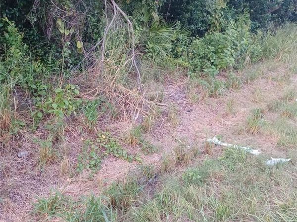 88 DIRKSEN DRIVE, DEBARY, FL 32713