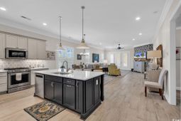 8488 Cape Dutch Loop photo 4