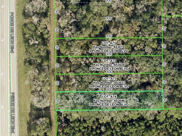 PONCE DE LEON BOULEVARD, BROOKSVILLE, FL 34601