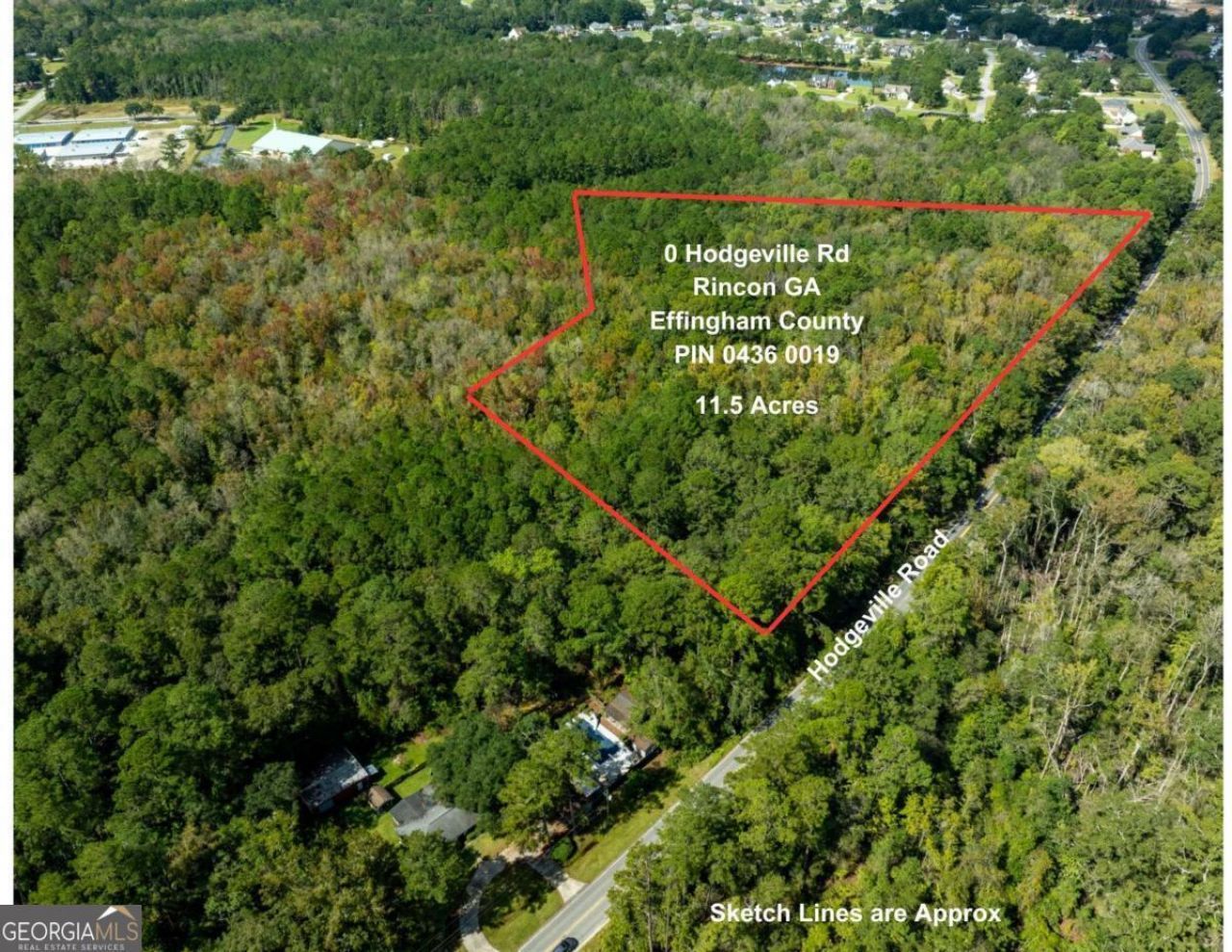 0 Hodgeville Road, Rincon, GA 31326 Main Photo