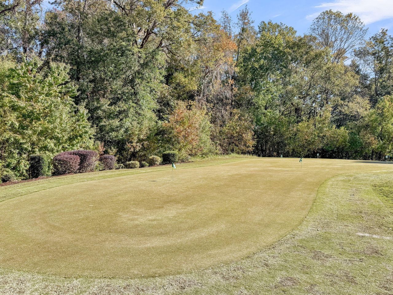 4201 Meadowbrook Court Photo 58