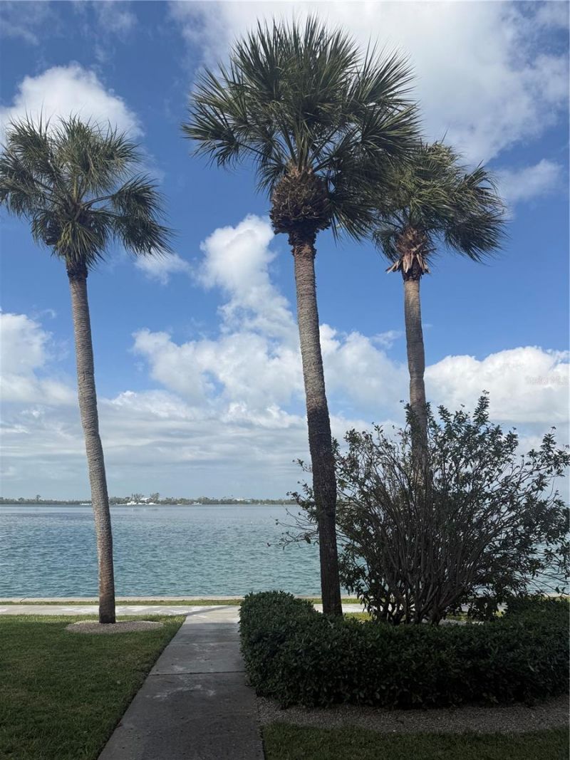775 John Ringling Boulevard, Unit # 33, Sarasota, FL 34236 Photo