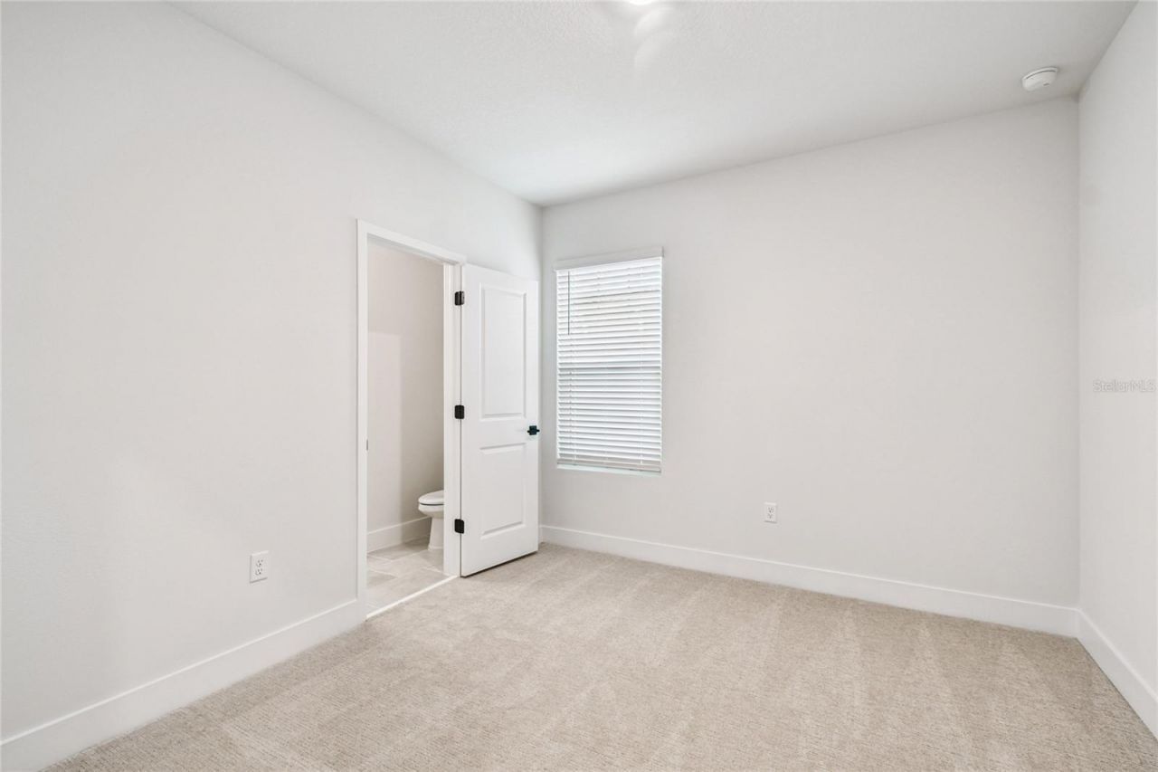 3133 4th Terrace N, Saint Petersburg, FL 33713 Photo