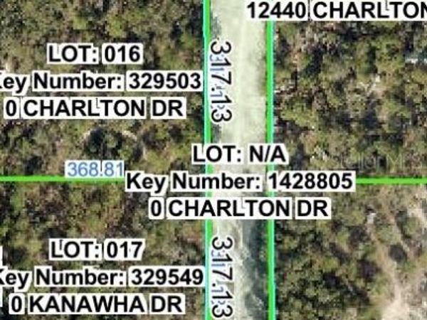 CHARLTON DRIVE, BROOKSVILLE, FL 34614
