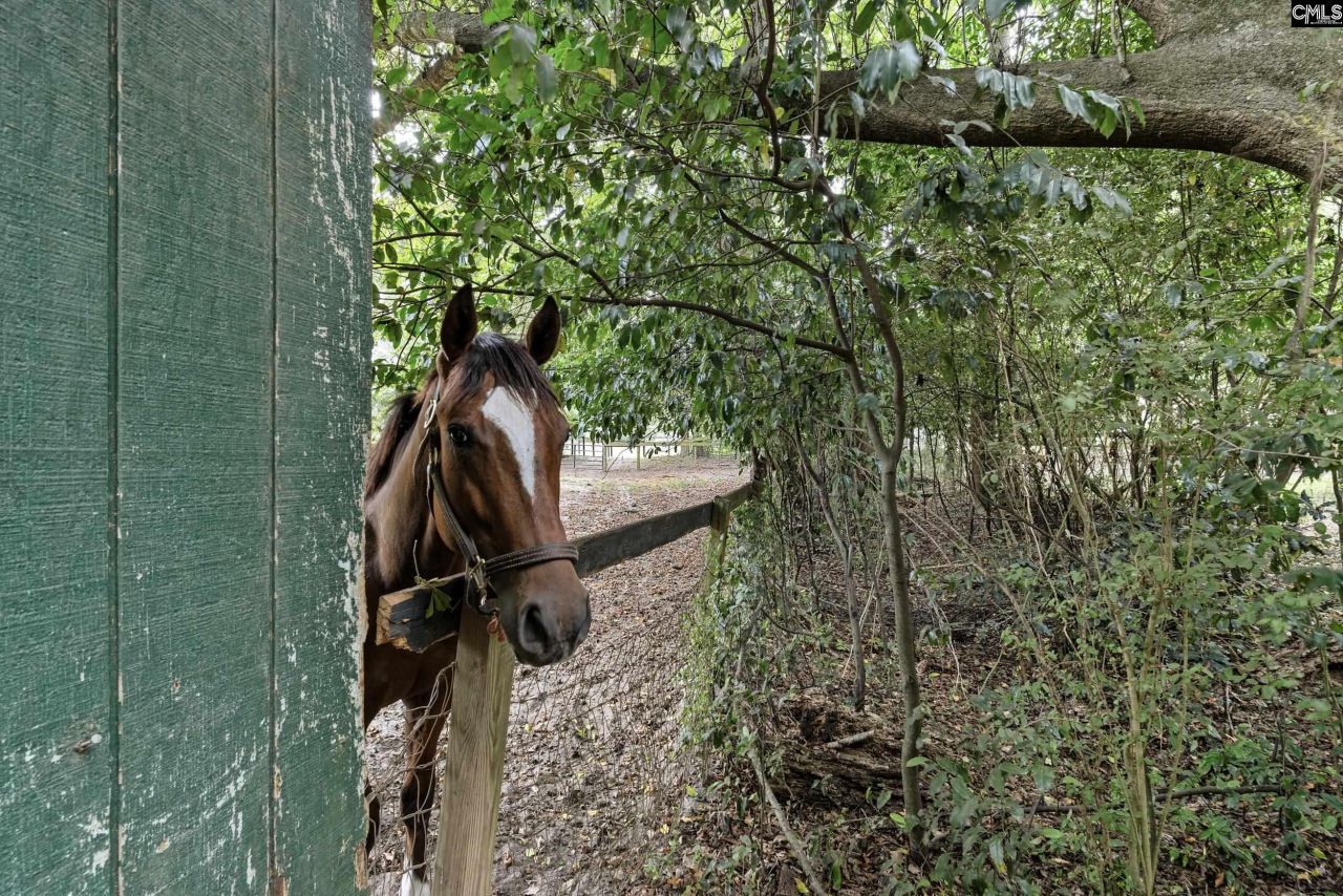 2224 Carter Street Photo 4