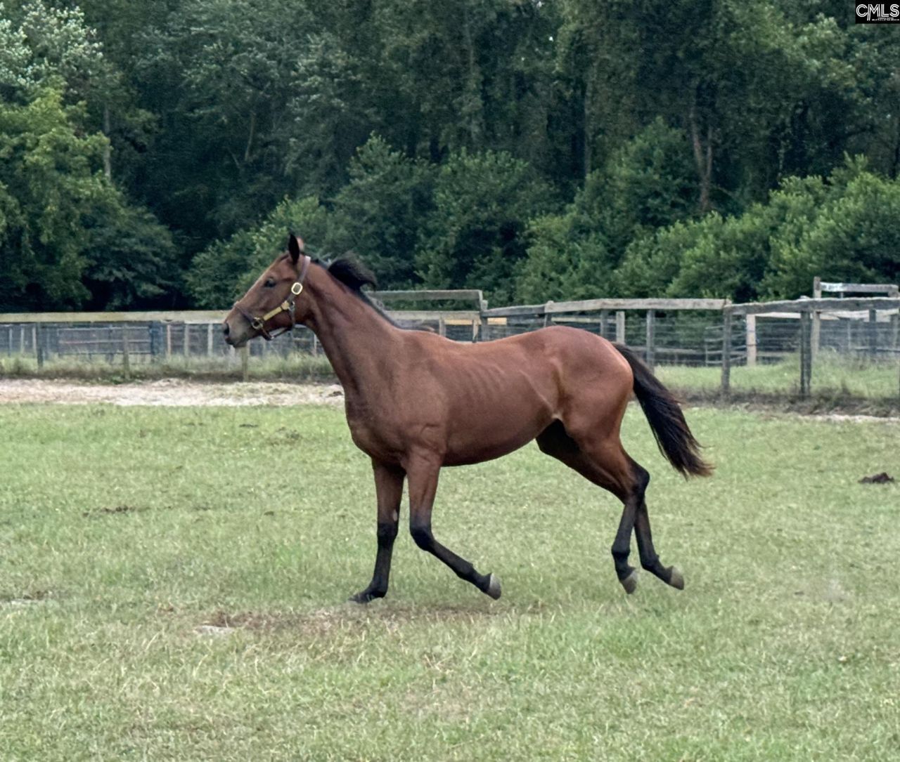 2224 Carter Street Photo 5