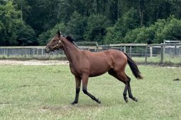 2224 Carter Street photo 4