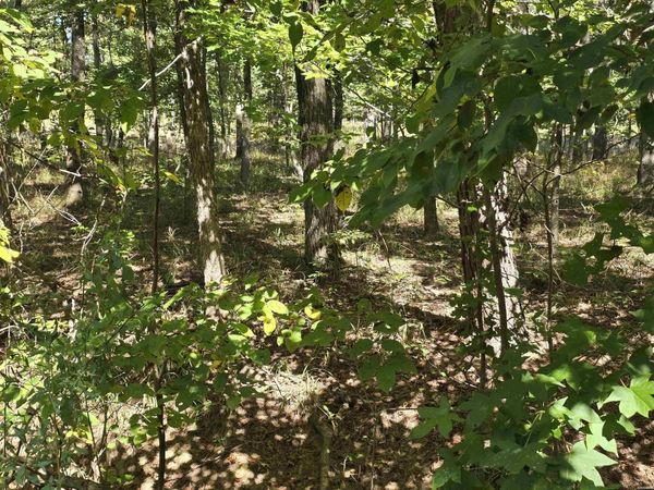 Lot 416 PLUM HOLLOW, Hot Springs, AR
