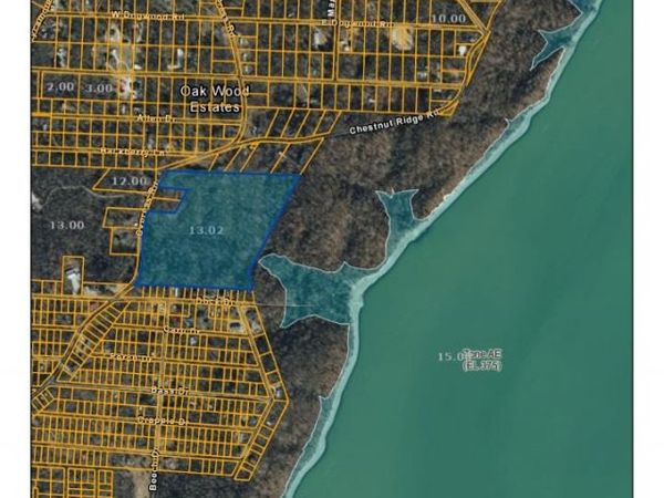 0 Cypress Rd, Buchanan, TN 38222