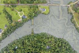 0 Long Island Road photo 4