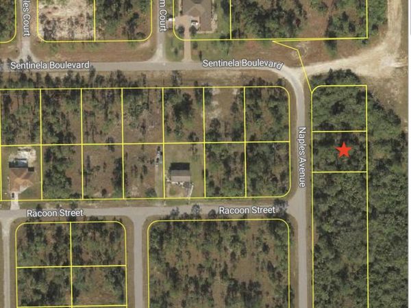 121 Naples Avenue S, Lehigh Acres, FL 33974