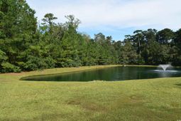 216 Rose Water Loop photo 4