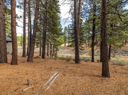 10703 Winchester Court, Truckee, CA 96161 Photo