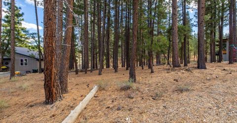 10703 Winchester Court, Truckee, CA 96161 Photo