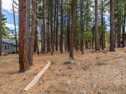 10703 Winchester Court, Truckee, CA 96161 Photo