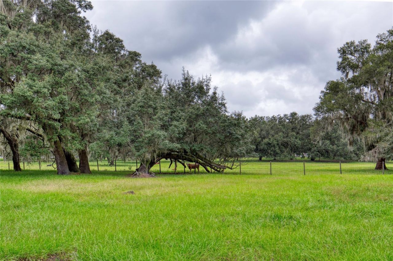 4885 State Road 11, De Leon Springs, FL 32130 Photo