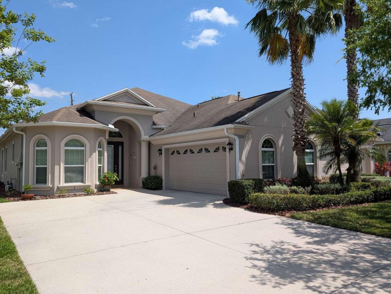 20903 Amanda Oak Court, Land O Lakes, FL 34638 Main Photo