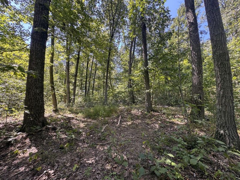 973 Golf Course Road, Waverly, OH 45690 Photo 51