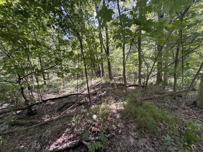 973 Golf Course Road, Waverly, OH 45690 Photo 52