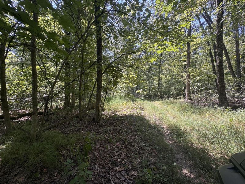 973 Golf Course Road, Waverly, OH 45690 Photo 53