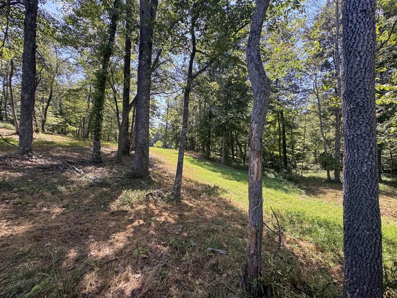 973 Golf Course Road, Waverly, OH 45690 Photo 54