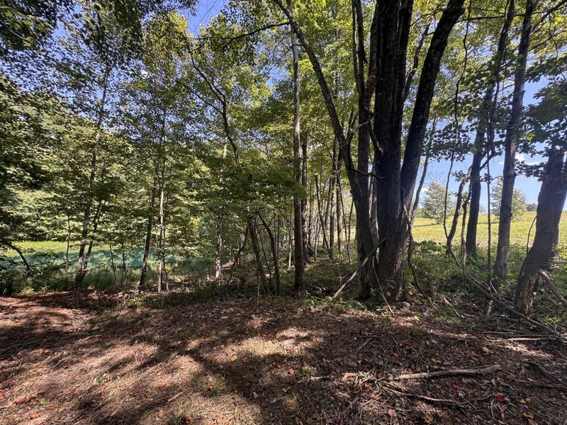 973 Golf Course Road, Waverly, OH 45690 Photo 55