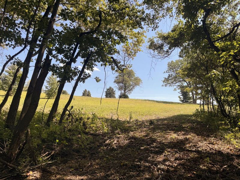 973 Golf Course Road, Waverly, OH 45690 Photo 56