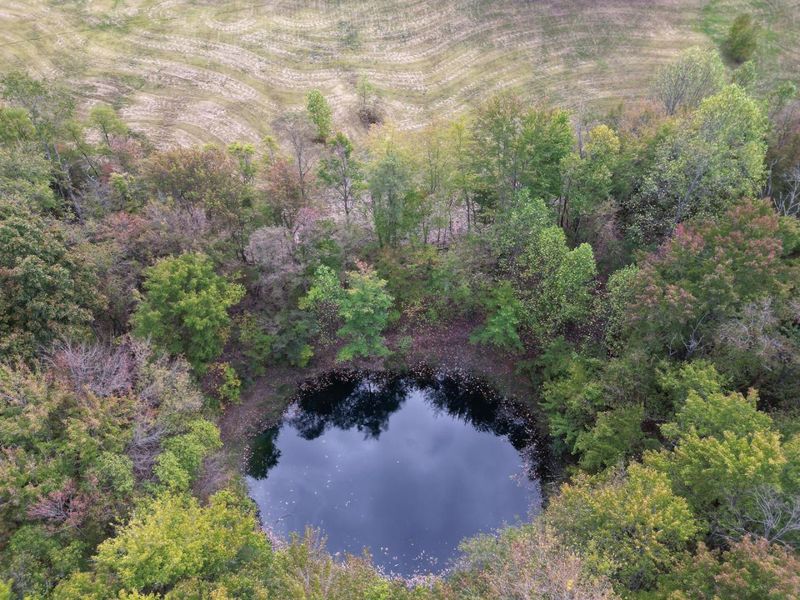 973 Golf Course Road, Waverly, OH 45690 Photo 58