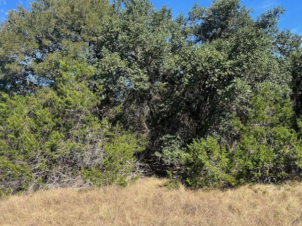 1366-E Narrows RD, Blanco, TX 78606