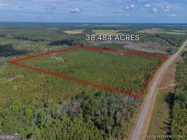 TRACT 2 Kinnett Road, Jacksonville, GA 31544
