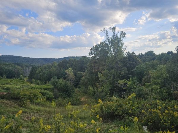 1970 Rock Ave, Palmer, TN 37365