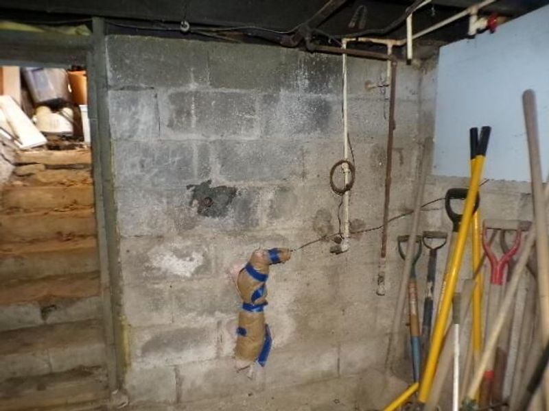 1657 Ann Street, Columbus, OH 43207 Photo 17