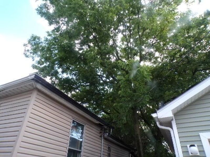 1657 Ann Street, Columbus, OH 43207 Photo 5