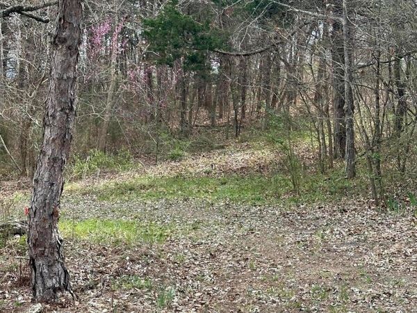 000 Iowa Colony Road, Hollister, MO 65672