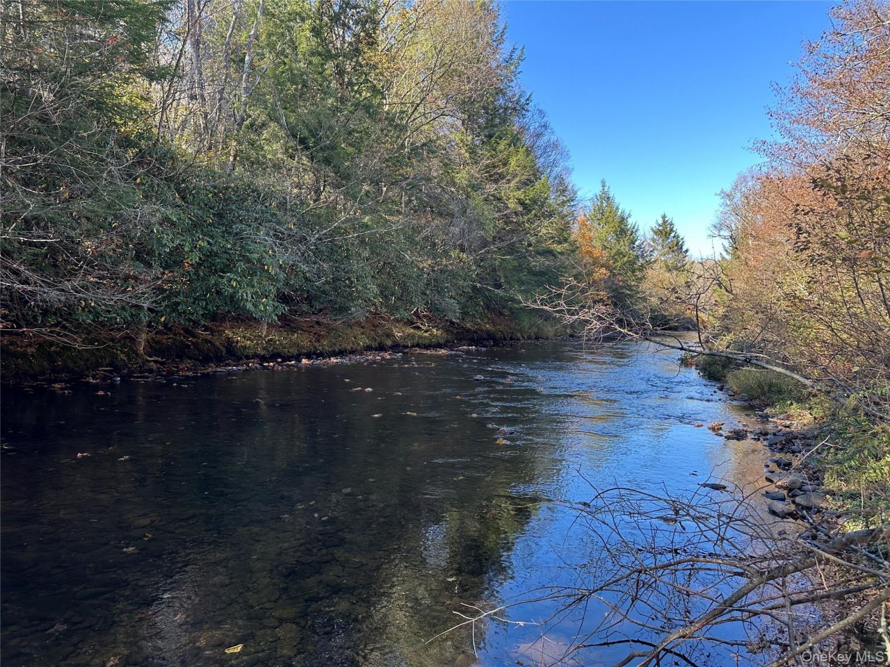 00 Old Route 17, Livingston Manor, NY 12758 Main Photo