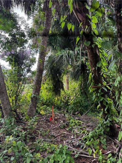 7281 Kreamers Dr, Bokeelia, FL 33922 Photo