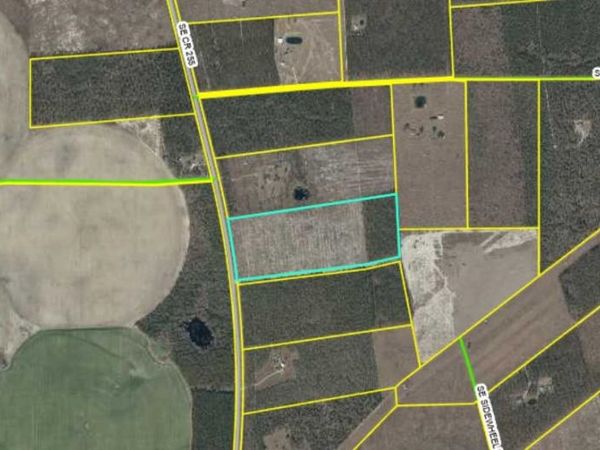 Vacant 40 AC SE Cr 255 , Lee, FL 32059