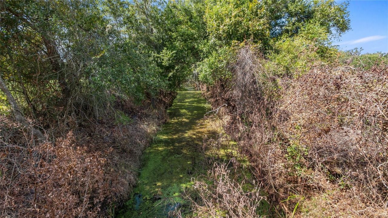 13343 Cr 727, Webster, FL 33597 Photo