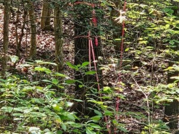 00 Off of Long Branch Road, Woodford, VA 22580