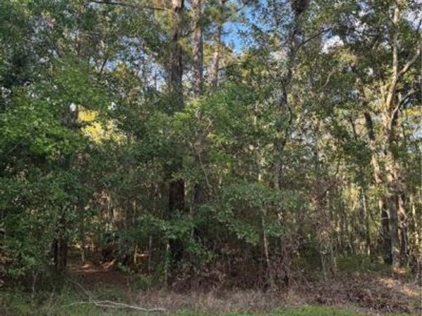 Section 16 Township 9 S WEST PEARL Drive, Slidell, LA 70461